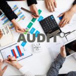 vat audit leanership